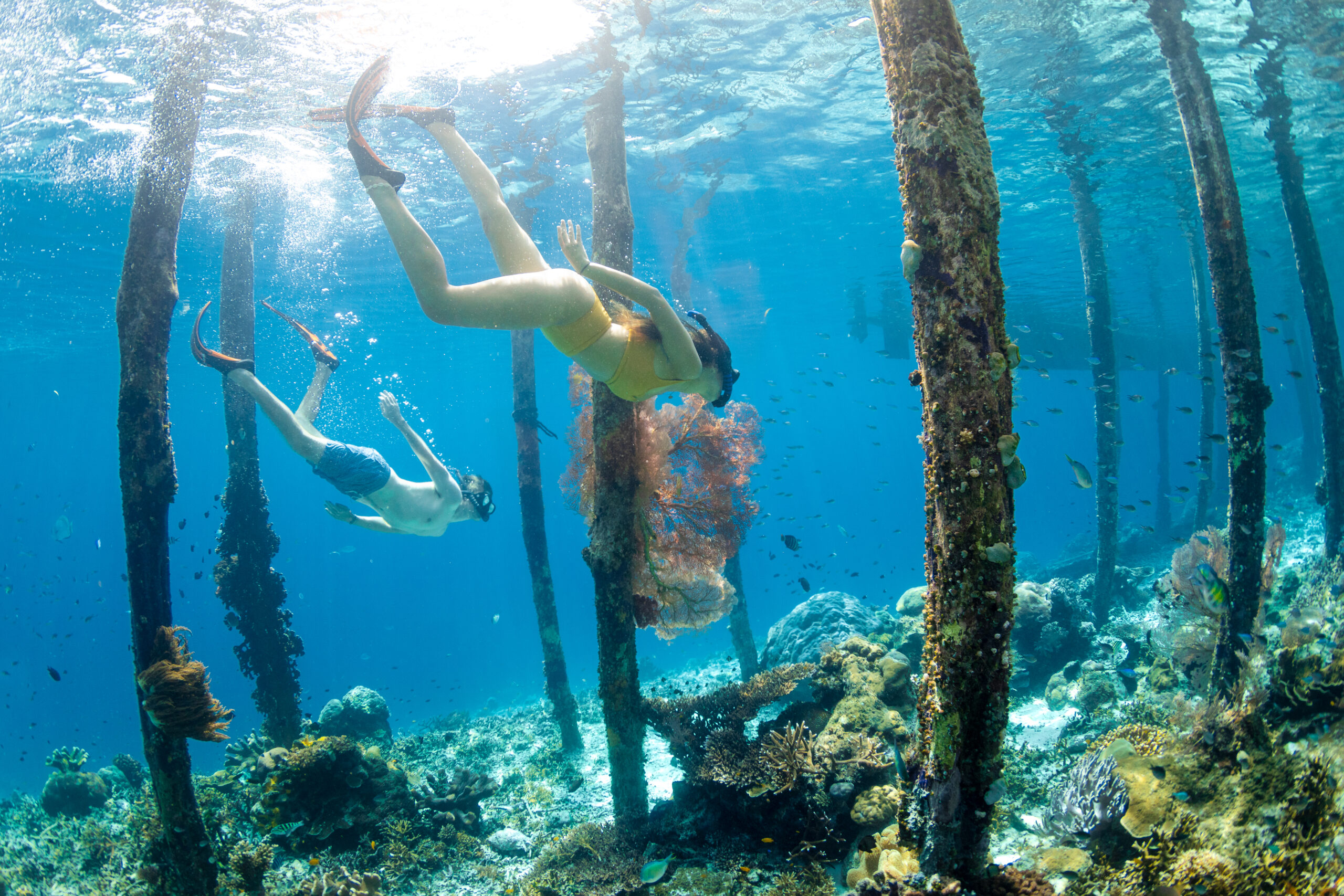 Underwater camera tips