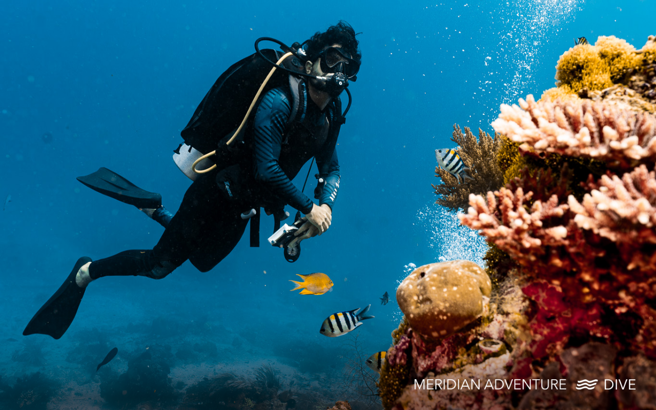 Scuba diver admiring the coral reefs in Raja Ampat