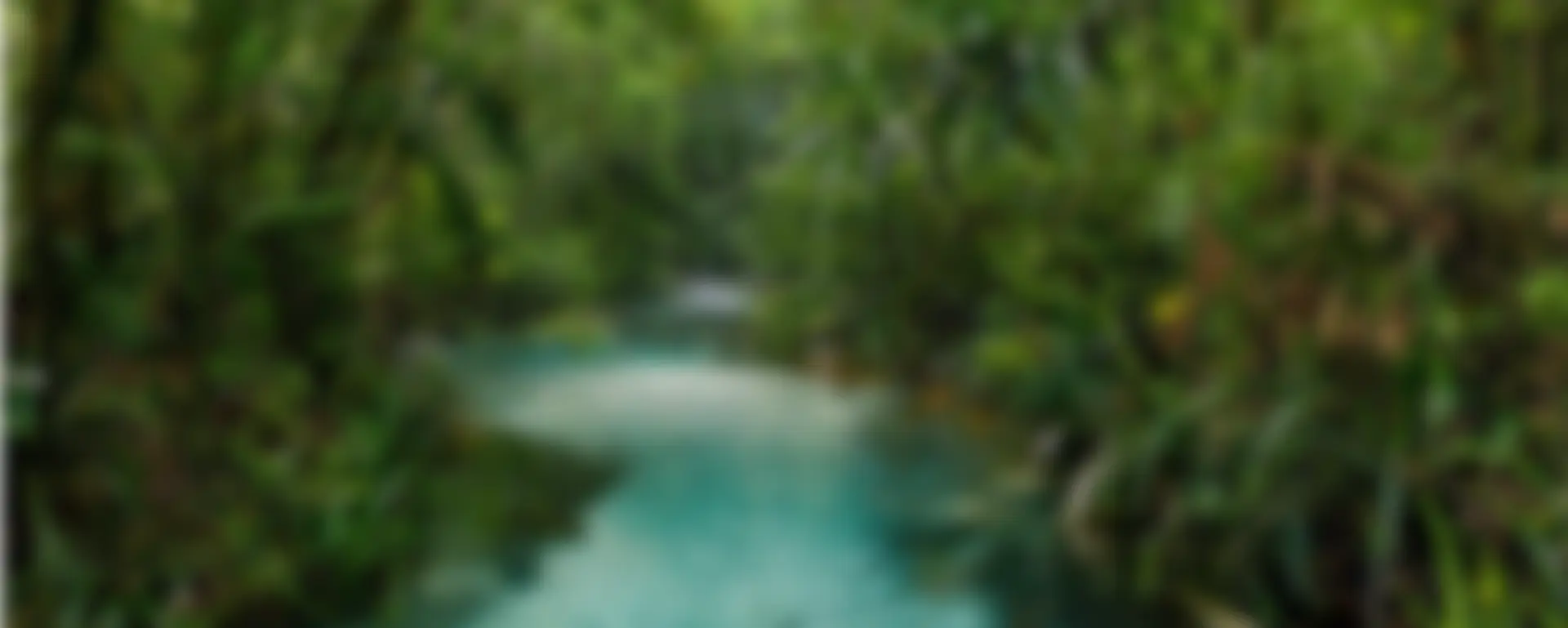 Raja Ampat Island Hopping: The Ultimate Route to Hidden Lagoons
