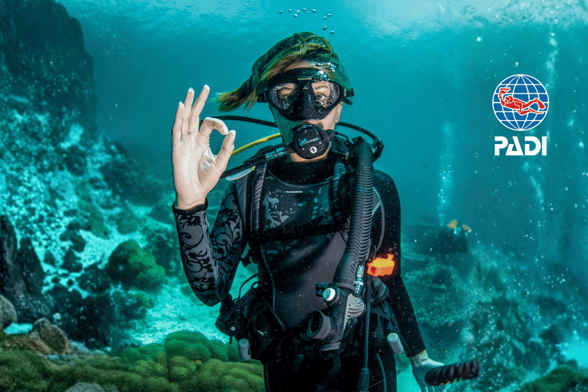 Official Breakthrough: Raja Ampat’s Only PADI 5-Star IDC Centre