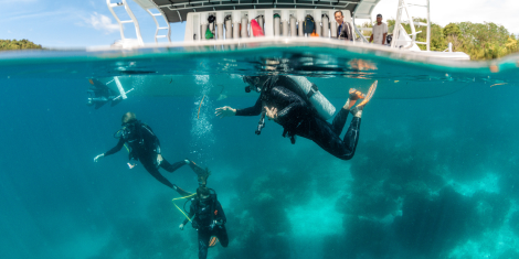 PADI IDC Course