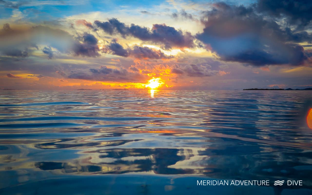 Beach cleanup by Meridian Adventure Dive team in Raja Ampat holding a PADI AWARE banner