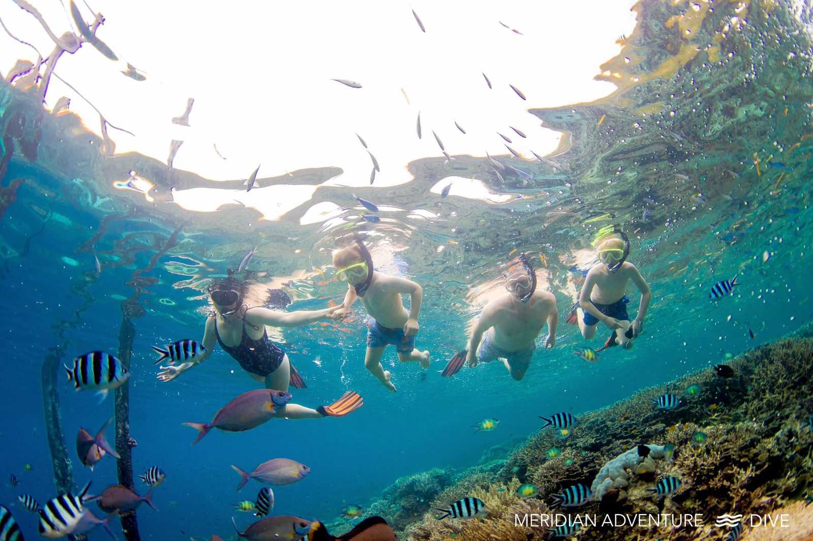 Family snorkelling in Raja Ampat shallow reef waters