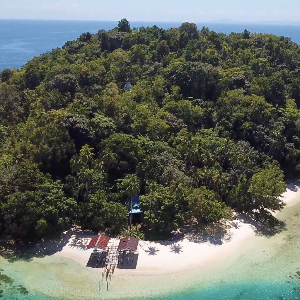 Indonesia carbon footprint and forest conservation in Raja Ampat