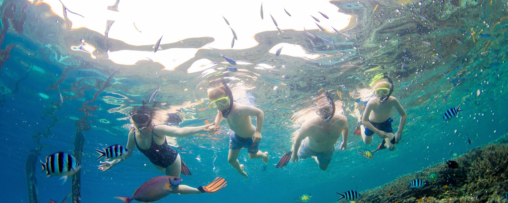 Snorkelling in Raja Ampat: Why You Should Experience It