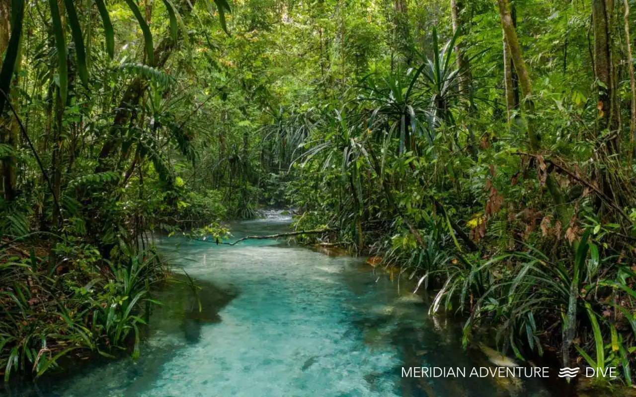 Blue River or Kali Biru in Raja Ampat during an island hopping trip