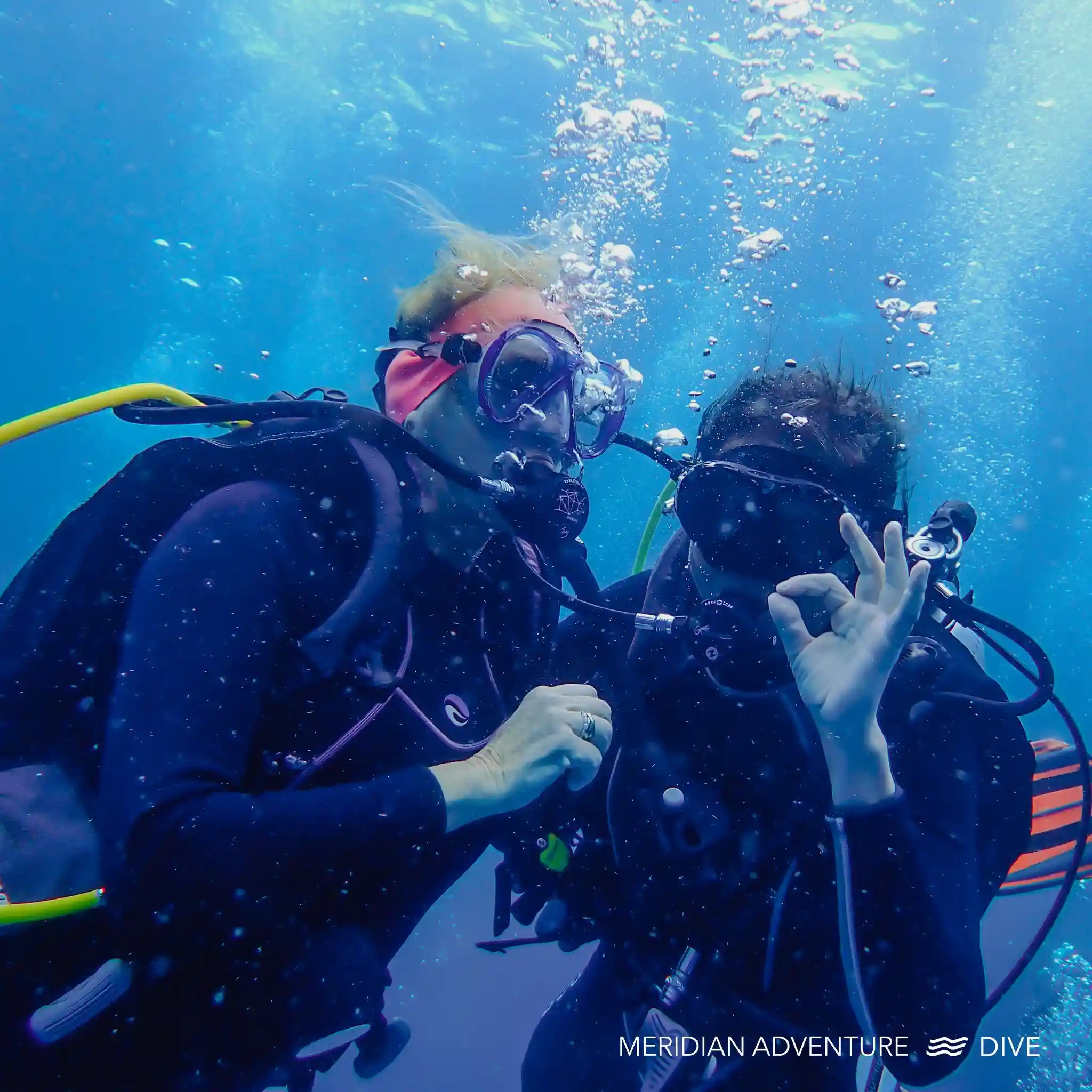 The Essential and Fun Aspects of Having a Scuba Diving Buddy